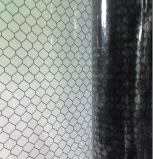 Cornice di PVC trasparente / reticolare nera Cornice antistatica
