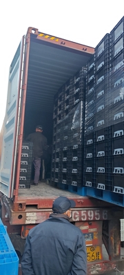 600*400 mm scatola di plastica ESD contenitori di stoccaggio ESD scatola conduttiva per parti elettroniche